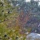 형제부동산 이미지