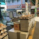 삼보페인트 이미지