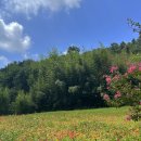 고려동 회관 이미지