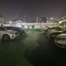 권선동 1051 | 수원시청 맛집 아리랑도가니탕 깊은 맛의 도가니전골 후기