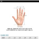 지맥스 양가죽 남성 골프장갑 GMG13013 화이트 골프용품 왼손 오른손 택일 [GMAX GOLF GLOVES]남자 명품 쇼핑몰 예남 YENAM 이미지