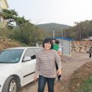 고미할미 Daum카페