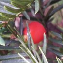 정원한옥민박 이미지