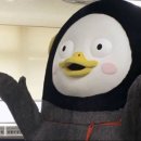 푸딩하우스