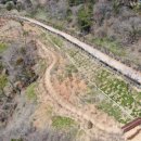 도시숲 산책길 이미지