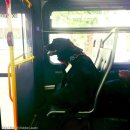 댕댕이버스 이미지