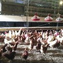 해샘찬농장 이미지