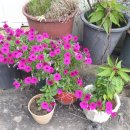 성림농장 이미지