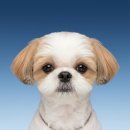 우정요양병원 | 무사히 안전히 🍀