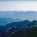 대광안전상사 이미지