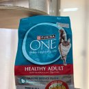 프린세스 캣 | 다묘가정 고양이 사료 추천 퓨리나 원 캣 연어 참치!