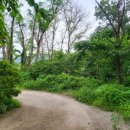 평화강변수목캠핑장 이미지