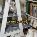 야채사냥