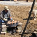 야생초마을아미골 이미지