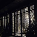 빈펄리조트 스파앤 나트랑베이 아코야 스파 시간 문제 발생, 그래도 베트남 전통 테라피로 힐링 완료