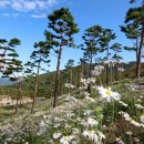 산청 동의보감촌 이미지