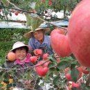 삼애농원 이미지