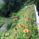 사오리농장 이미지