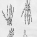 바른오늘의원 이미지