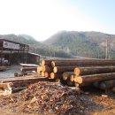 황토통나무집 이미지