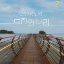 5월28일(화)제27차 특별산행 천사대교,무한의다리.퍼플섬(박지도.반월도)트레킹(탑승시간 1시간 늦춥니다) 이미지