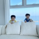 베아띠 풀빌라 이미지