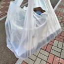 한솥도시락(혁신도시점) | 2025 한솥도시락 11월 신메뉴 베스트 메뉴 추천 치킨마요 덮밥 돈치스팸 가격 칼로리