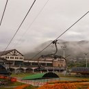 알프스공인중개사사무소 이미지