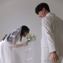 허니헤어 이미지