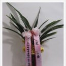 염창동 우림블루라인 이미지