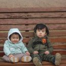 회성농장 이미지