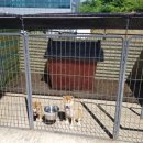 여아농장 이미지