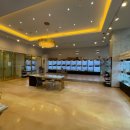 도그마루 강아지 고양이 천안아산점 | 천안강아지분양 전문업체 도그마루 강아지 고양이 천안아산점에서 인생 댕냥이 만났어요!