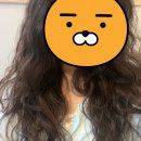 GS25충주프리미엄점 | 충주 미용실 헤어데이, 히피펌 만족! 충주 용산동 미용실 추천
