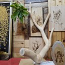 칠갑산나이테협동조합 이미지