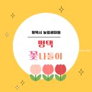 오성초등학교 | 평택 꽃나들이 솔직 후기 주차부터 튤립 상태까지 아이랑 다녀온 현실 리뷰