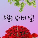 행복믿음