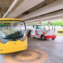 황룡강 꽃길 이미지