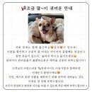 희샵 - 안산시 단원구 보화로 25 | 희샵