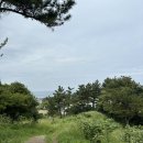 제주 올레길 21코스 | 제주 올레길 21코스 후기