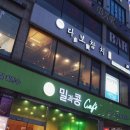 다보참치 이미지