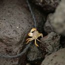 우도봉담수장 이미지