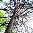 갈천리 종합복지회관 이미지