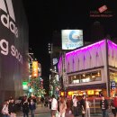 코코버블티 이미지