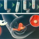 인공수정과 시험관 차이 (, 부작용, 성공률 등) 이미지