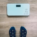 달려라 차차차 이미지