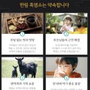 한림흑염소 이미지