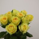 택배농장 이미지