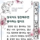 당국자도 칭찬해 주면 좋아하오- 도산 안창호 이미지