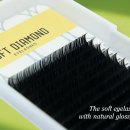 티지소프트 이미지